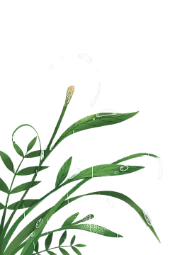 节气雨水春天水滴