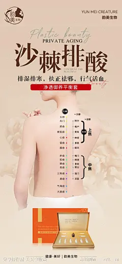 沙棘排酸海报-源文件-志设网-zs9.com