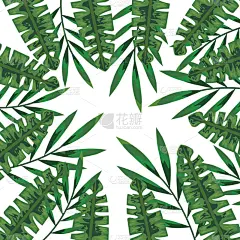 鸡尾酒,叶子,植物,式样,热带气候,创造力,自然,华丽的,高雅,摆拍