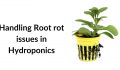 Handling Root rot issues in Hydroponics