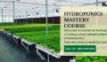 Launching Hydroponics Mastery Course