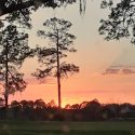 sunset at Timacuan Lake Mary FL