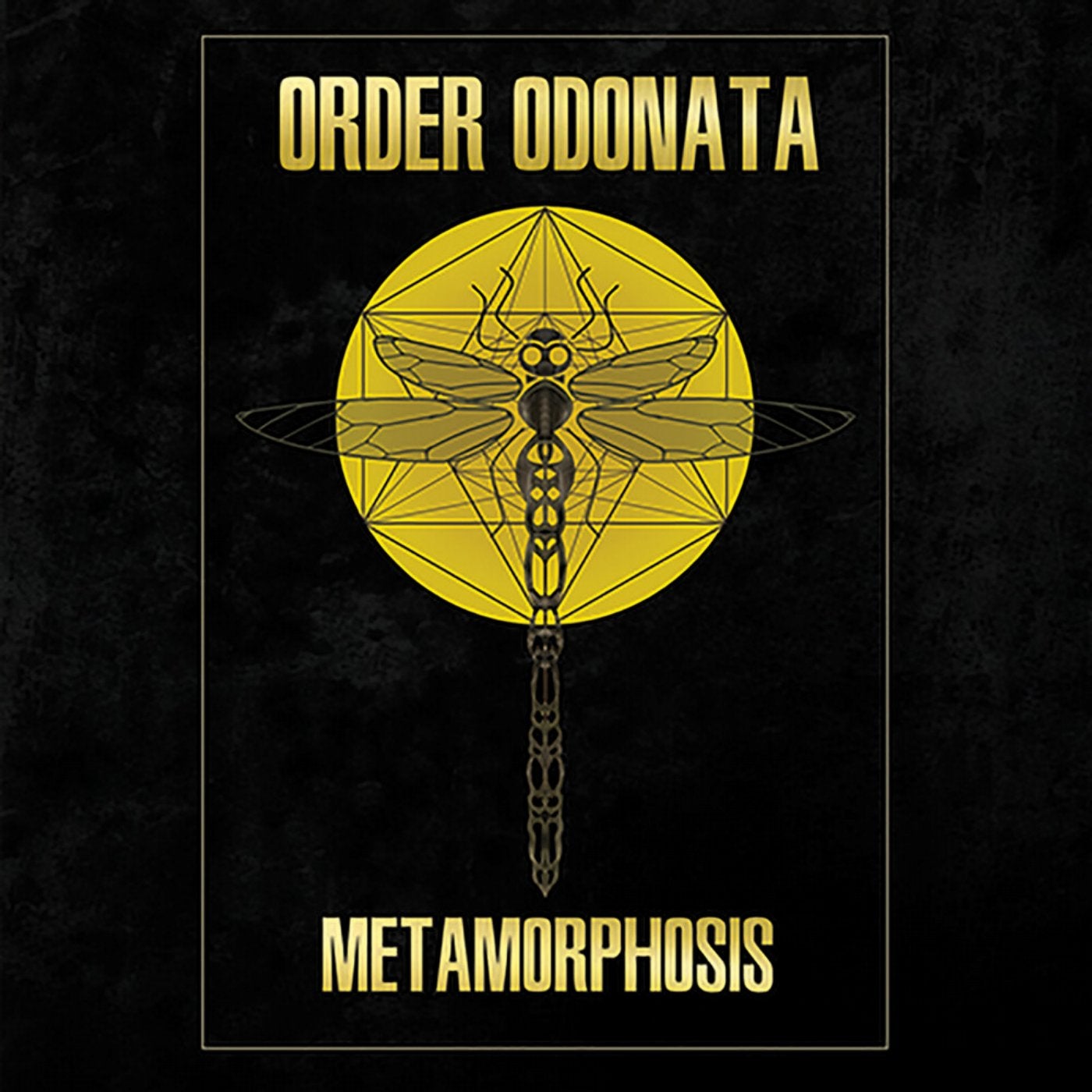 Order Odonata – Metamorphosis