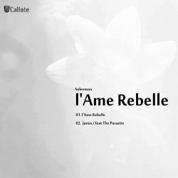 l'Ame Rebelle