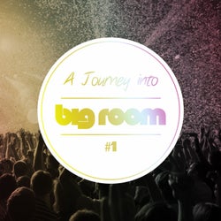 A Journey Into Big Room, Vol. 1