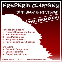 She Wants Revenge - The Remixes