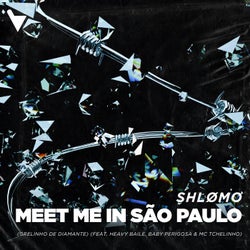 Meet Me In Sao Paulo (Grelinho De Diamante) (feat. Heavy Baile, Baby Perigosa & MC Tchelinho)