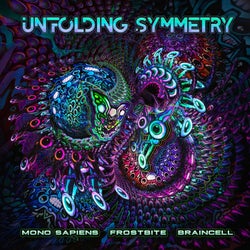 Unfolding Symmetry