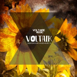 Voltaik #13