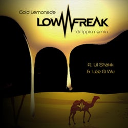 Drippin (feat. LIL SHAKK & Lee Q Wu) (feat. LIL SHAKK & Lee Q Wu) [Lowfreak Remix]