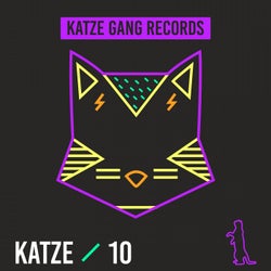 Katze 10