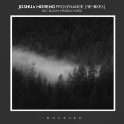 Provenance (Remixes)