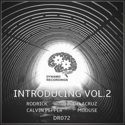 Dynamo Introducing, Vol. 2