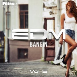 Bangin EDM, Vol. 5