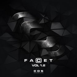 FaCet, Vol. 1.2