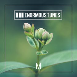 Enormous Tunes - 1000