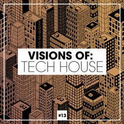 Visions Of: Tech House Vol. 13