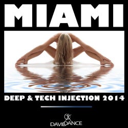 Miami 2014 - Deep & Tech Injection