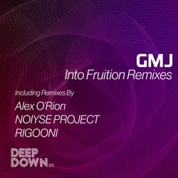 Into Fruition Remixes