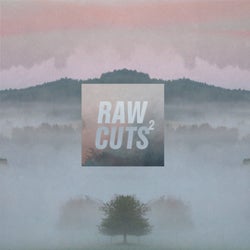 Chillhop Raw Cuts 2