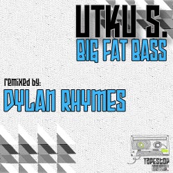 Big Fat Bass Remix