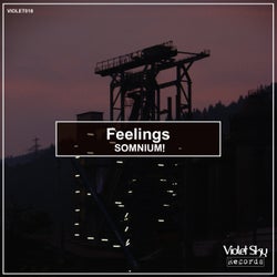 Feelings