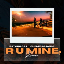 R U Mine?