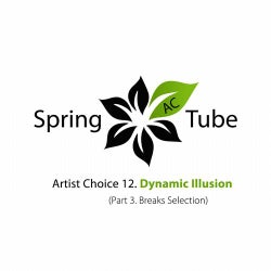 Artist Choice 012. Dynamic Illusion (Part 3. Breaks Selection)