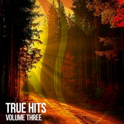 True Hits, Vol. 3