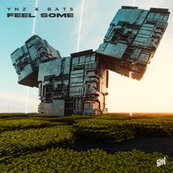 Feel Some