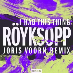 I Had This Thing (Joris Voorn Remix)