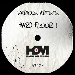 Hard Floor 1