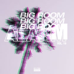 Big Room Alarm, Vol. 19