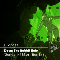 Down The Rabbit Hole (Jenya Miller Remix)