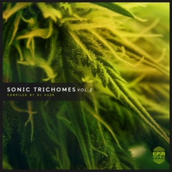 Sonic Trichomes, Vol. 2