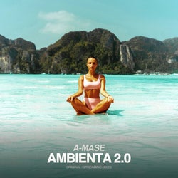 Ambienta 2.0