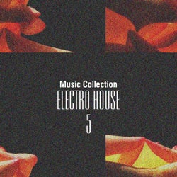 Music Collection. Electro House, Vol. 5