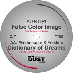 False Color Image / Dictionary Of Dreams