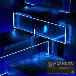 Now Or Never (Extended Mixes)