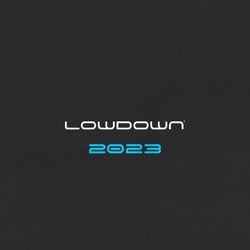 Lowdown Recordings 2023 Compilation