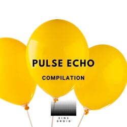 Pulse Echo