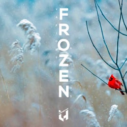 Frozen