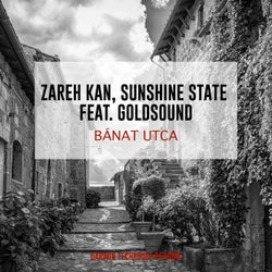 Banat utca (feat. Goldsound) [Darwin Techhouse Rework]