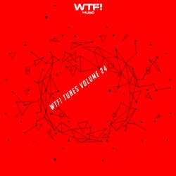 WTF! Tunes Volume 24