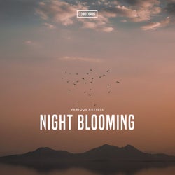 Night Blooming