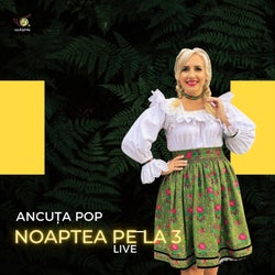 Noaptea pe la 3 - Cover Roxana Mag