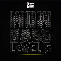 Wow Bass Level 5