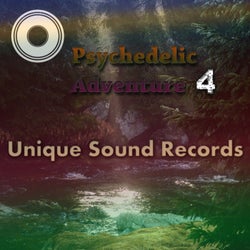 Psychedelic Adventure 4