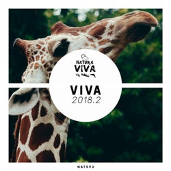 Viva 2018.2