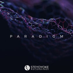 Steyoyoke Paradigm, Vol. 06